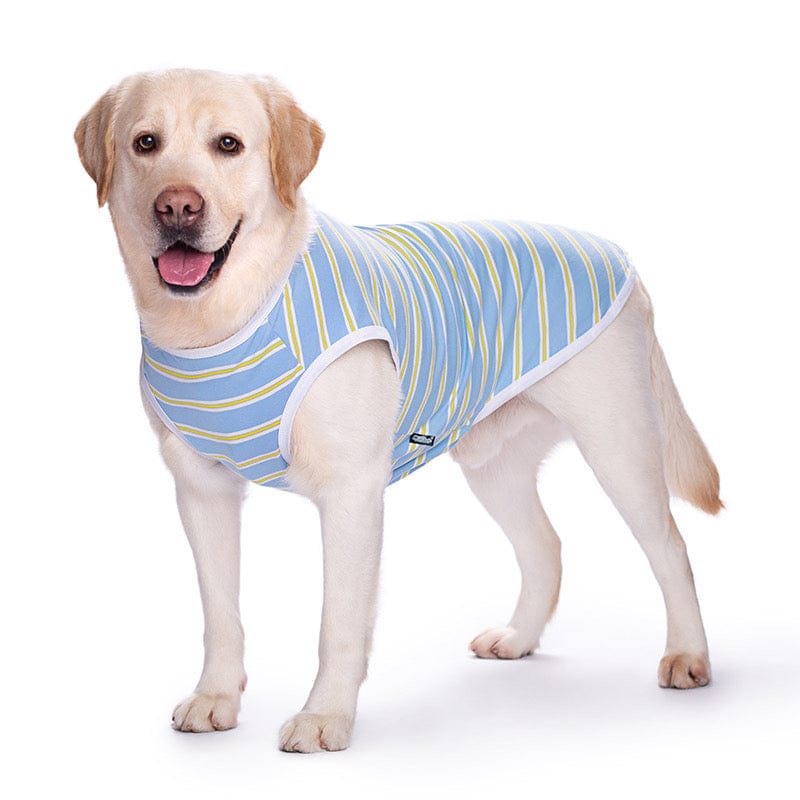 KUTKUT Cotton Striped T- Shirt for Medium/Large Dogs | Breathable Stretchy Fashion Big Dogs Clothes for Labrador, Golden Retriever, Gemmal Shepherd Samoyed etc. ( Blue)-T-Shirt-kutkutstyle
